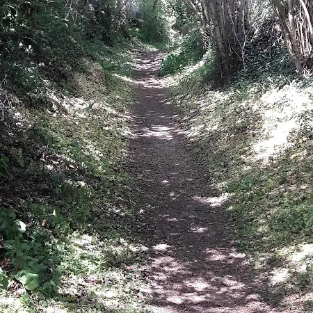 Holiday home Proche Du Mans : Nature, Objets Atypiques Et Ambiance Familiale - Fr-1-410-249 Louplande