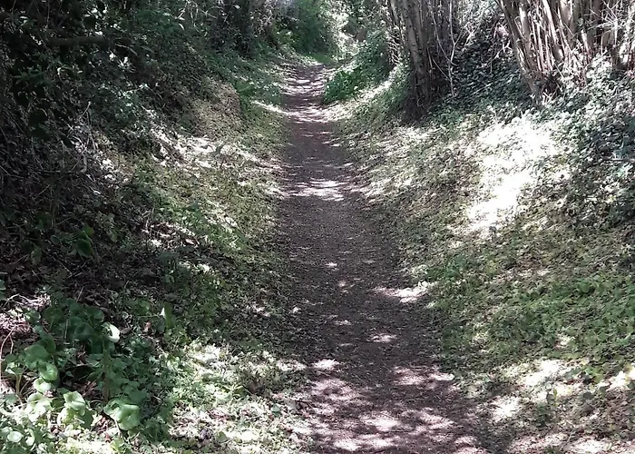 Nyaraló Proche Du Mans : Nature, Objets Atypiques Et Ambiance Familiale - Fr-1-410-249 Louplande